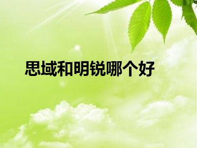 思域和明锐哪个好