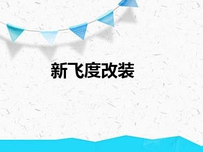 新飞度改装