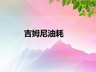 吉姆尼油耗