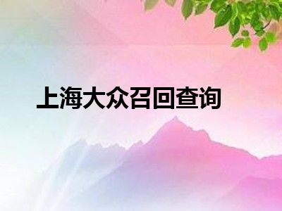上海大众召回查询