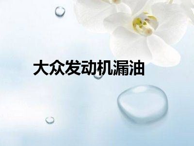 大众发动机漏油