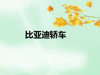 比亚迪轿车