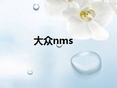 大众nms