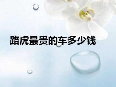 路虎最贵的车多少钱