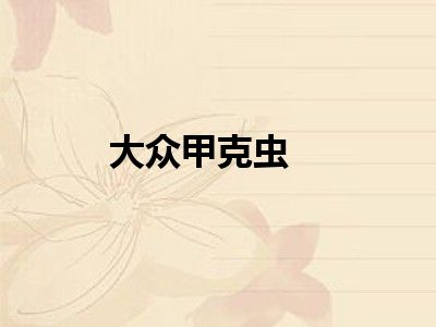 大众甲克虫