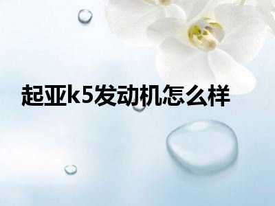 起亚k5发动机怎么样
