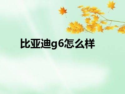 比亚迪g6怎么样