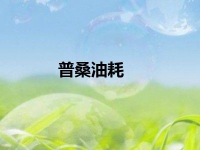 普桑油耗