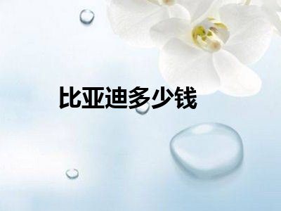 比亚迪多少钱