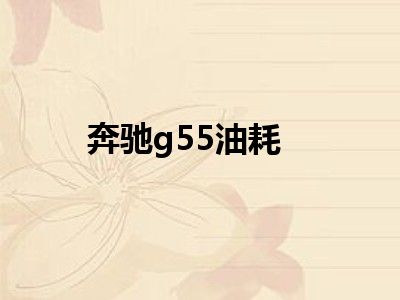 奔驰g55油耗