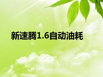 新速腾1.6自动油耗