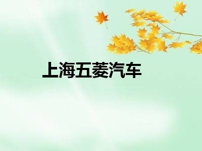 上海五菱汽车