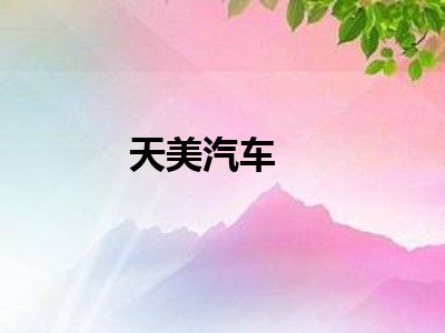 天美汽车