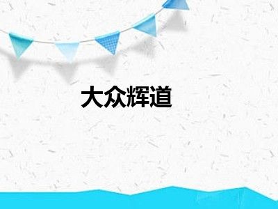 大众辉道
