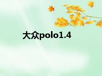 大众polo1.4