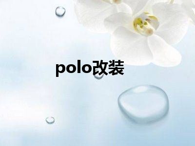 polo改装