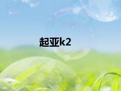 起亚k2
