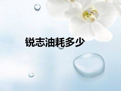 锐志油耗多少