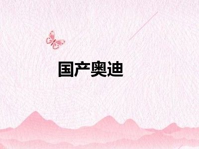 国产奥迪