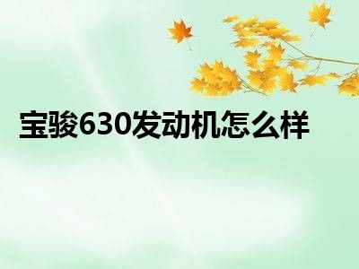 宝骏630发动机怎么样