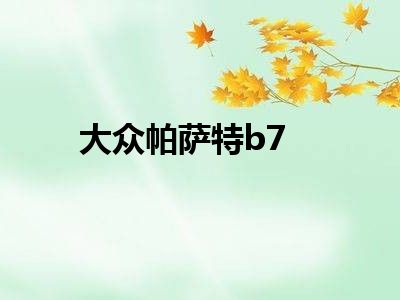 大众帕萨特b7