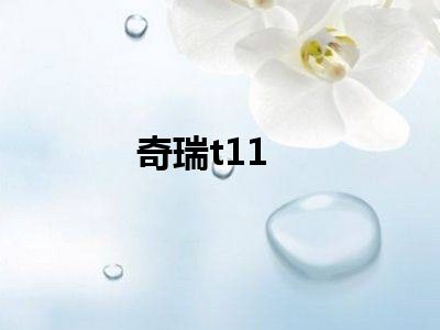 奇瑞t11