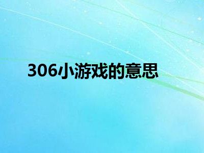 306小游戏的意思