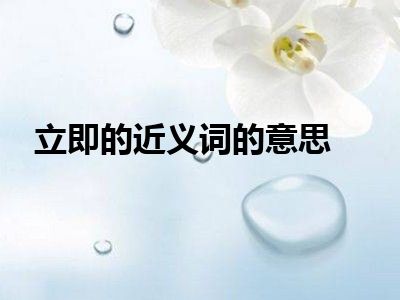 立即的近义词的意思