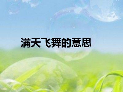 满天飞舞的意思