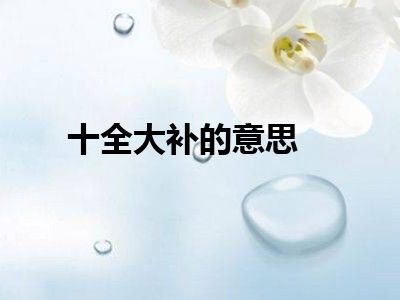 十全大补的意思