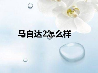马自达2怎么样