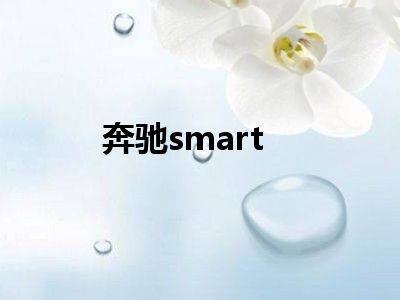奔驰smart