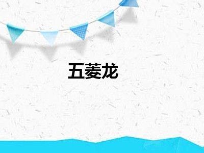 五菱龙