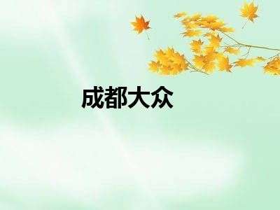 成都大众
