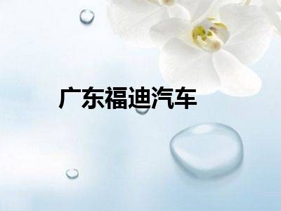 广东福迪汽车