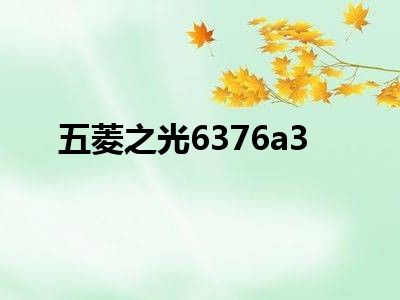 五菱之光6376a3