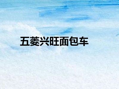 五菱兴旺面包车