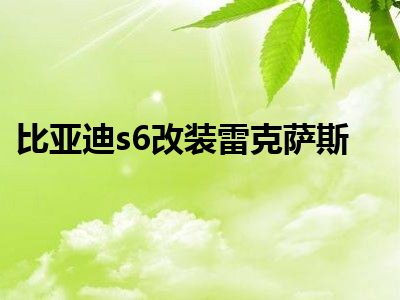 比亚迪s6改装雷克萨斯