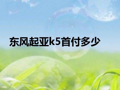 东风起亚k5首付多少