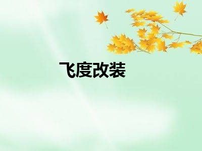 飞度改装