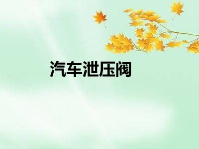 汽车泄压阀