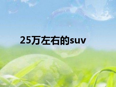 25万左右的suv