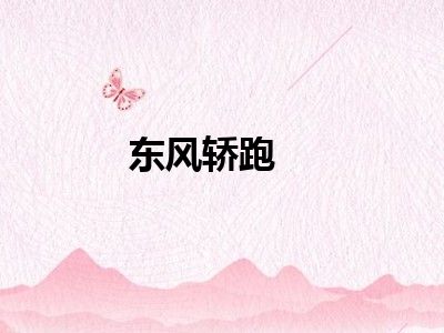 东风轿跑