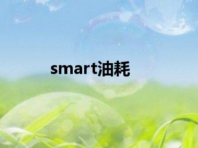 smart油耗