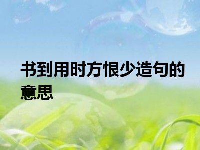 书到用时方恨少造句的意思