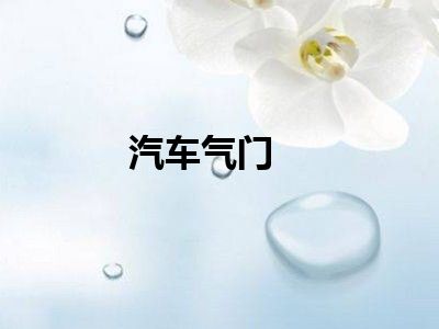 汽车气门