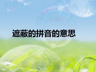 遮蔽的拼音的意思