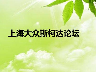 上海大众斯柯达论坛