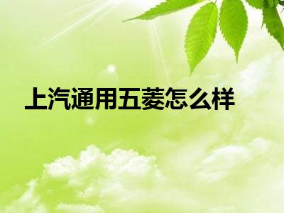 上汽通用五菱怎么样