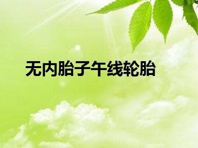 无内胎子午线轮胎